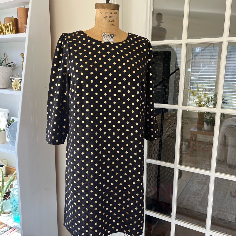 Polka Dot Black Dress